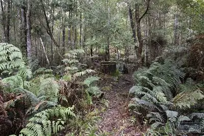 Sixth view of Homely land listing, 263 Hastings Bay Esplanade, Hastings TAS 7109
