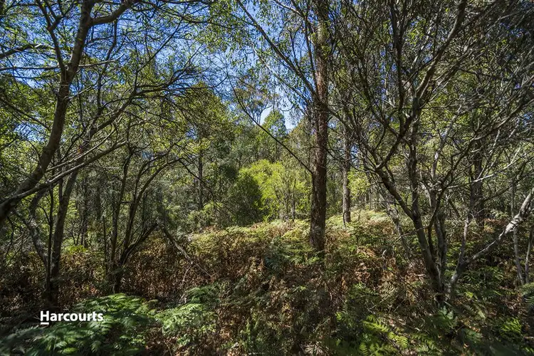 Sixth view of Homely land listing, Lot 1 Fyfes Road, Mountain River TAS 7109