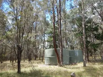 Fourth view of Homely rural property listing, 6344 Grafton Road (Waterfall Way), Wollomombi NSW 2350