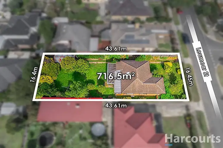 16 Leumear Street, Oakleigh East VIC 3166