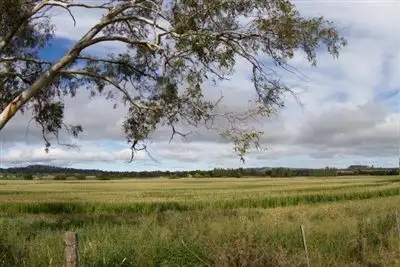 Seventh view of Homely rural property listing, Waterloo/67 Waterloo Road, Matheson NSW 2370