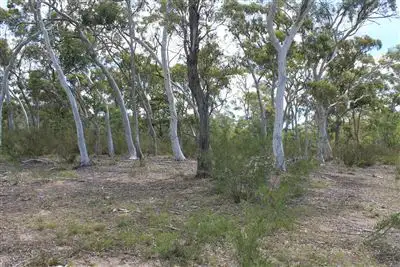 Sixth view of Homely rural property listing, 979 Bombay Road, Braidwood NSW 2622