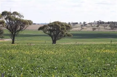 Main view of Homely rural property listing, Address available on request