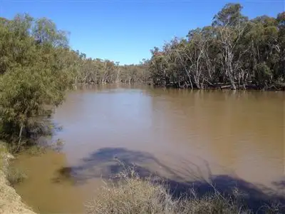 Main view of Homely rural property listing, . Hay, Hay NSW 2711