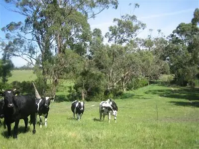 Third view of Homely rural property listing, 1713 Cairnbrook Rd, Glengarry VIC 3854