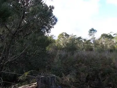 Fifth view of Homely rural property listing, Lot 11 Ansons Road, Gladstone TAS 7264