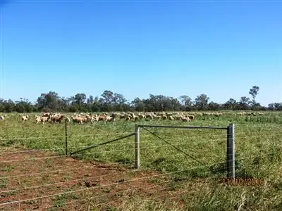 Main view of Homely rural property listing, * Denroy, Cobar NSW 2835