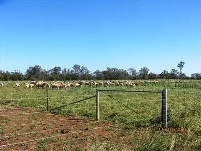 Main view of Homely rural property listing, * Denroy, Cobar NSW 2835
