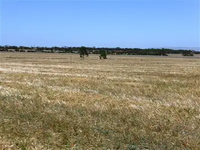 Seventh view of Homely rural property listing, 1615 Lake View Road, Brinkworth SA 5464
