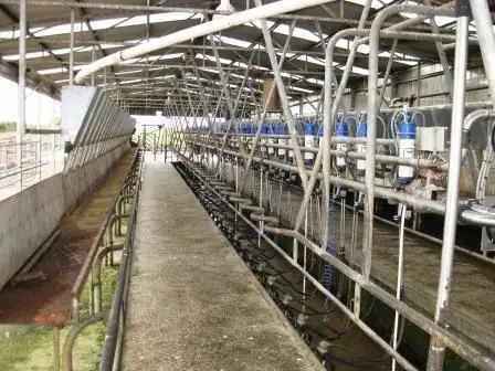 Sixth view of Homely rural property listing, 345 Houses Road, Lileah TAS 7330