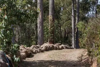 Seventh view of Homely land listing, 106 Vinces Saddle Road, Lower Longley TAS 7109