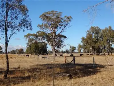Fourth view of Homely rural property listing, 483 Nishs Road, Peechelba VIC 3678