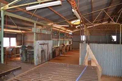 Sixth view of Homely rural property listing, * Keelambara, Tilpa NSW 2840