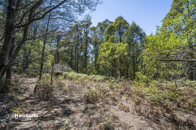 Fifth view of Homely land listing, Lot 1 Fyfes Road, Mountain River TAS 7109