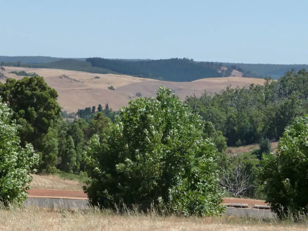 Main view of Homely land listing, 81 (L 286) Gleneagles Drive, Bridgetown WA 6255