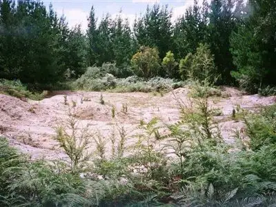 Fifth view of Homely rural property listing, 0 Harveys Road, Carrajung VIC 3971