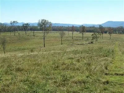 Seventh view of Homely rural property listing, 0 Blue Mountain Rd, Nebo QLD 4742