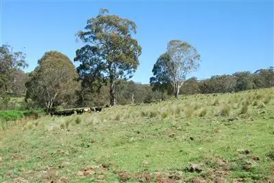 Seventh view of Homely rural property listing, 215 Merlin Downs Road, Niangala NSW 2354