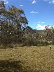 Third view of Homely rural property listing, Lots 30-31 Palarang Road, Merriangaah, Bombala NSW 2632