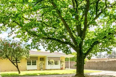 7/1 Orient Road, Kensington Gardens SA 5068