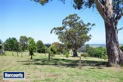 Sixth view of Homely house listing, 36 Hamono Road, Neerim VIC 3831