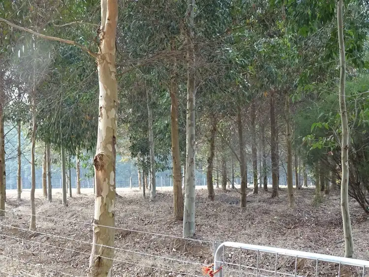 Fifth view of Homely rural property listing, 185 Towie Road, Manjimup WA 6258