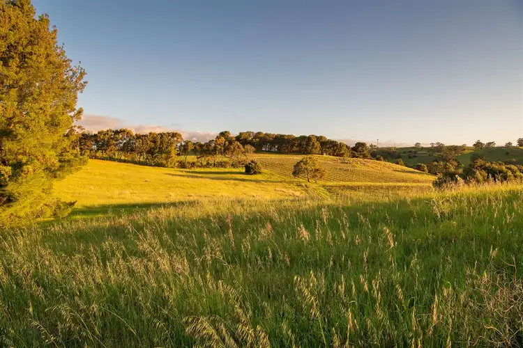 Main view of Homely rural property listing, 193 valley road, Angaston SA 5353