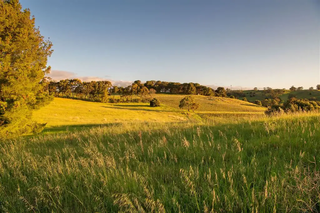 Main view of Homely rural property listing, 193 valley road, Angaston SA 5353