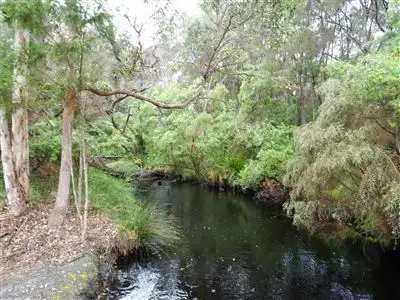 Second view of Homely rural property listing, 38 Vivers Road, Northcliffe WA 6262