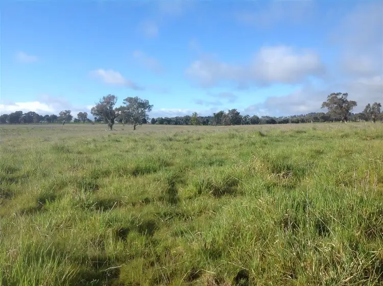 Fifth view of Homely rural property listing, 110 Perryman Lane, Table Top NSW 2640