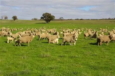 2157 Bolangum Inn Rd Kanya, Stawell VIC 3380