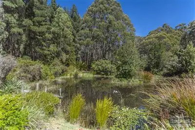 Sixth view of Homely house listing, 82 Narrows Road, Strathblane TAS 7109