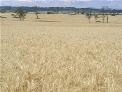 Fourth view of Homely rural property listing, 550 Dalby- Apunyal Rd, Dalby QLD 4405