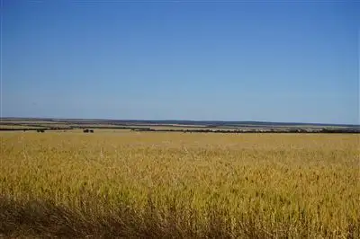 Fifth view of Homely rural property listing, Lot 25215 Tandegin East Road, Muntadgin WA 6420