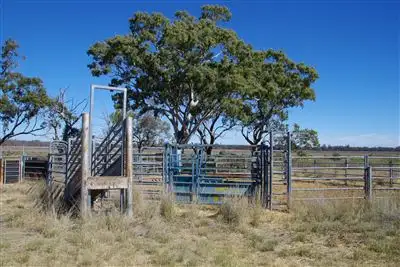 Fifth view of Homely rural property listing, 20841 Kamilaroi highway, Narrabri NSW 2390