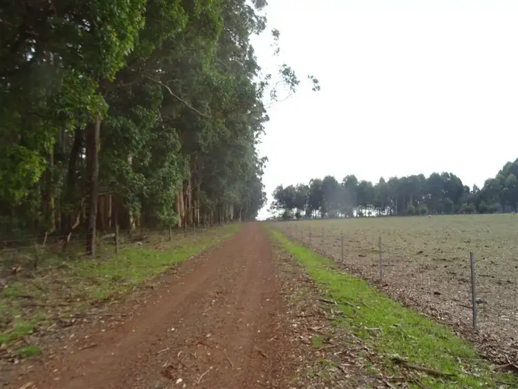 Third view of Homely rural property listing, 185 Towie Road, Manjimup WA 6258
