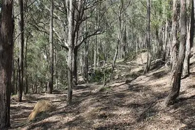 Lot 103 Araluen Road, Araluen NSW 2622