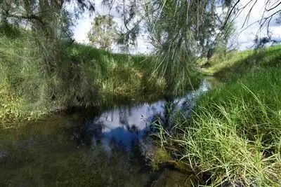 Second view of Homely rural property listing, 2072 Upper Dartbrook Rd, "Karinya", Scone NSW 2337