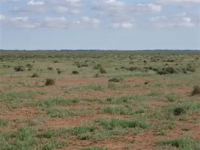 Main view of Homely rural property listing, 1 Jerilderie Rd, Hay NSW 2711