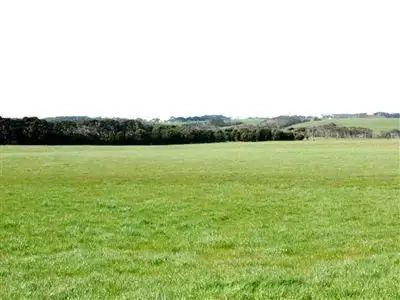 Fifth view of Homely rural property listing, 423 Millers Road, Lymwood TAS 7256