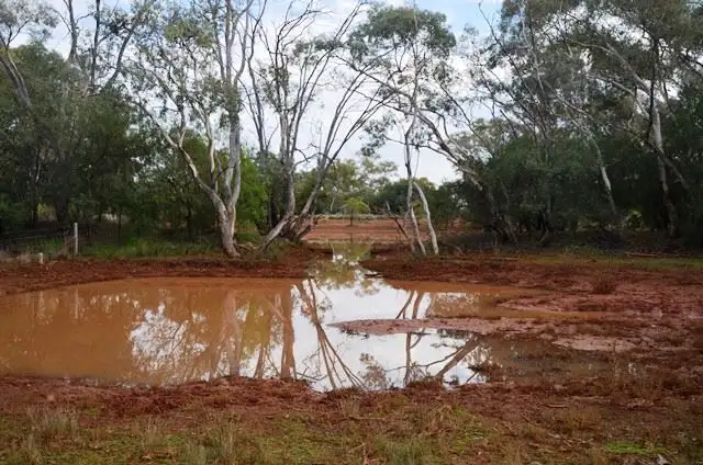 Third view of Homely rural property listing, * Mildyn Park, Cobar NSW 2835