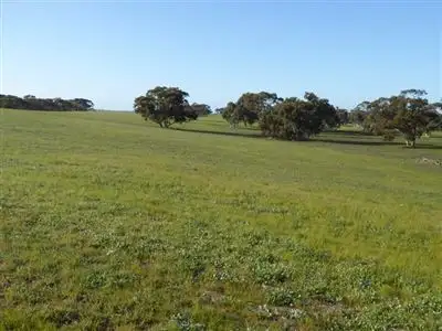 Main view of Homely rural property listing, 389 Nichols Road, Keith SA 5267