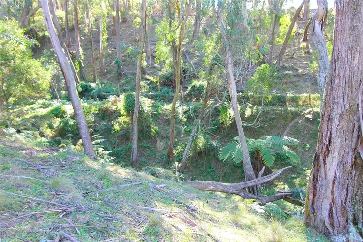 Sixth view of Homely rural property listing, 56 Jerrabatgulla Road Jerrabatgulla via, Braidwood NSW 2622