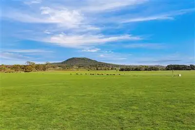 Fourth view of Homely rural property listing, 1501 Mt. Napier Road, Buckley Swamp VIC 3301