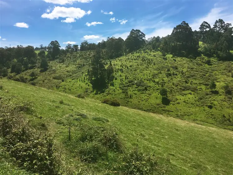 Second view of Homely land listing, 460 Forsters Rivulet Road, Lymington TAS 7109