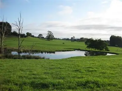 Sixth view of Homely rural property listing, 1161 Mount Hicks Road, Mount Hicks TAS 7325