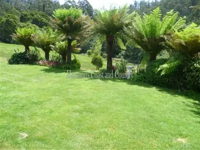 Fourth view of Homely house listing, 19 Bannons Bridge Road, Gunns Plains TAS 7315
