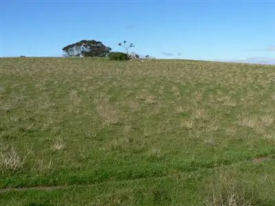 Second view of Homely rural property listing, 118 Hog Bay Road, Penneshaw SA 5222