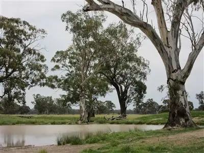 Main view of Homely rural property listing, 1220 Cullens Road, Euroa VIC 3666