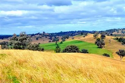 * Brooklyn, Wellington NSW 2820